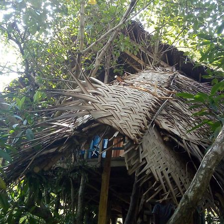 Mermaid Cabana And Tree Houses Tangalle Kültér fotó