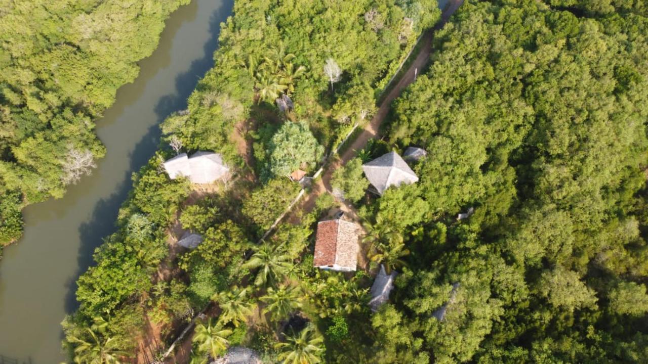 Mermaid Cabana And Tree Houses Tangalle Szoba fotó