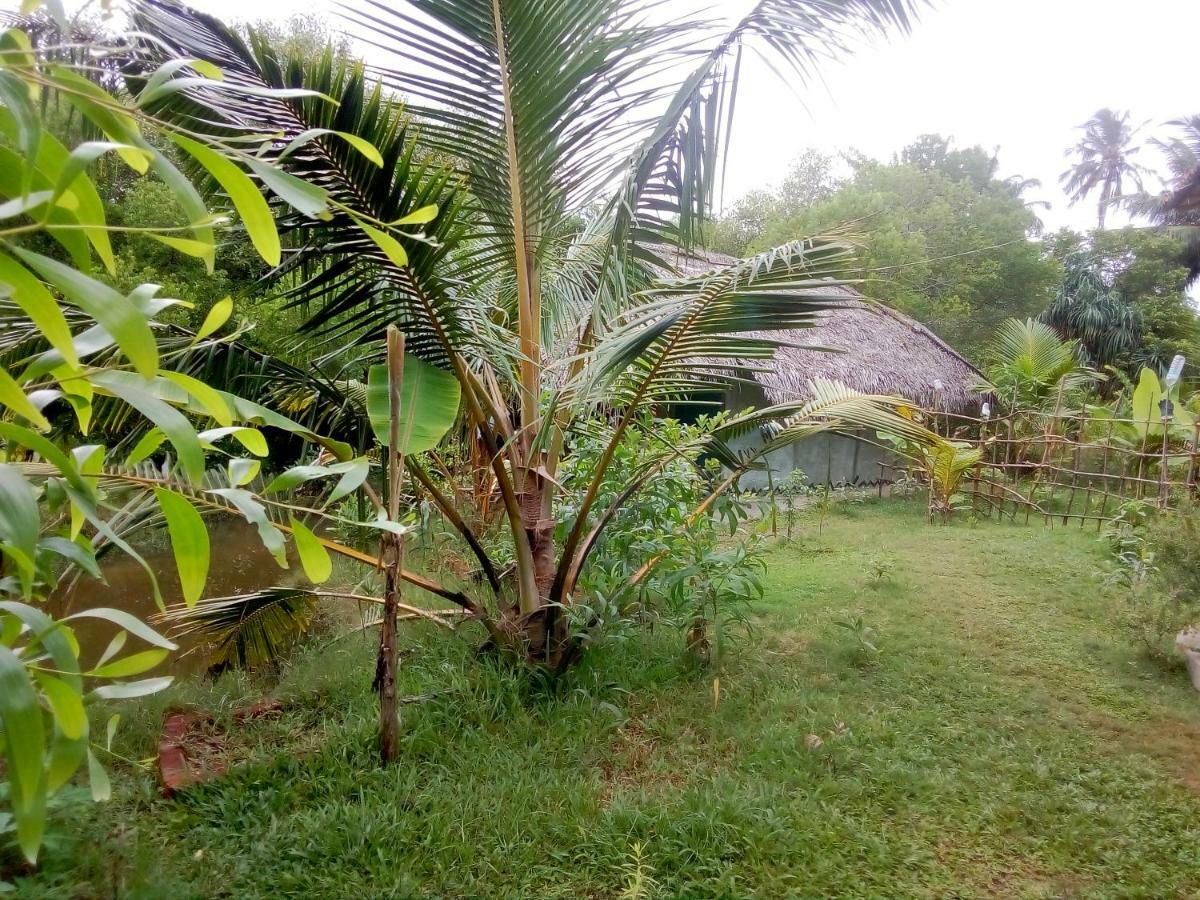 Mermaid Cabana And Tree Houses Tangalle Kültér fotó