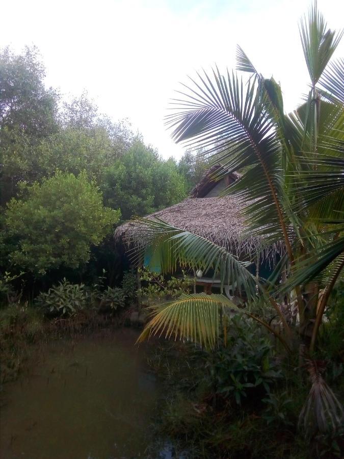 Mermaid Cabana And Tree Houses Tangalle Kültér fotó