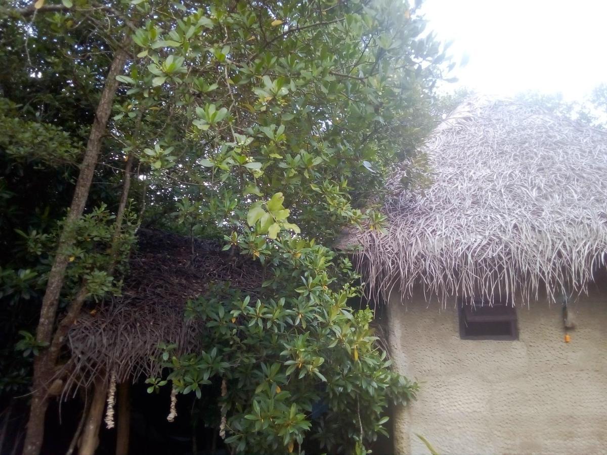 Mermaid Cabana And Tree Houses Tangalle Kültér fotó