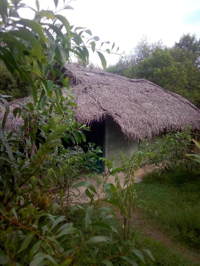 Mermaid Cabana And Tree Houses Tangalle Kültér fotó