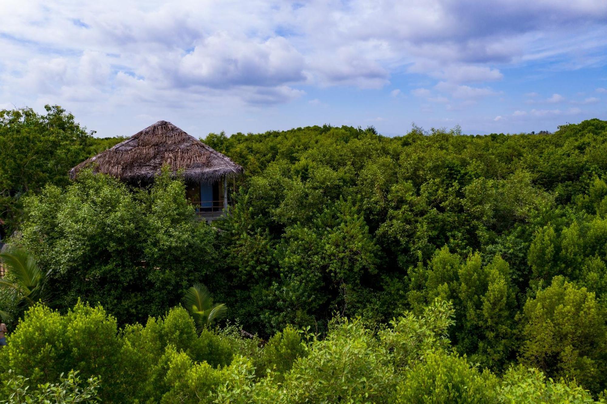 Mermaid Cabana And Tree Houses Tangalle Kültér fotó